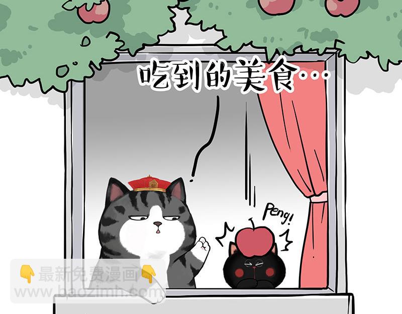 第344话 人生止痛剂41