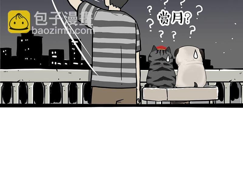 第345话 月饼节3