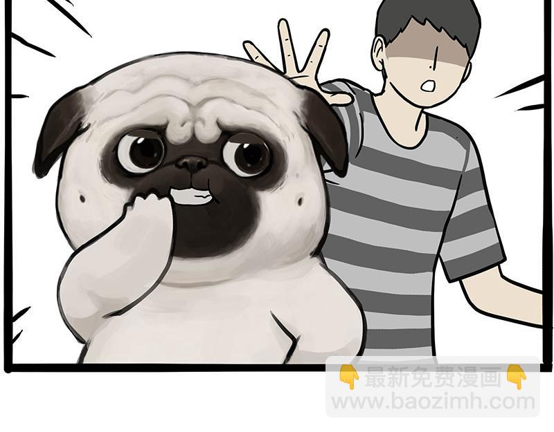 第347话 八百个心眼子46