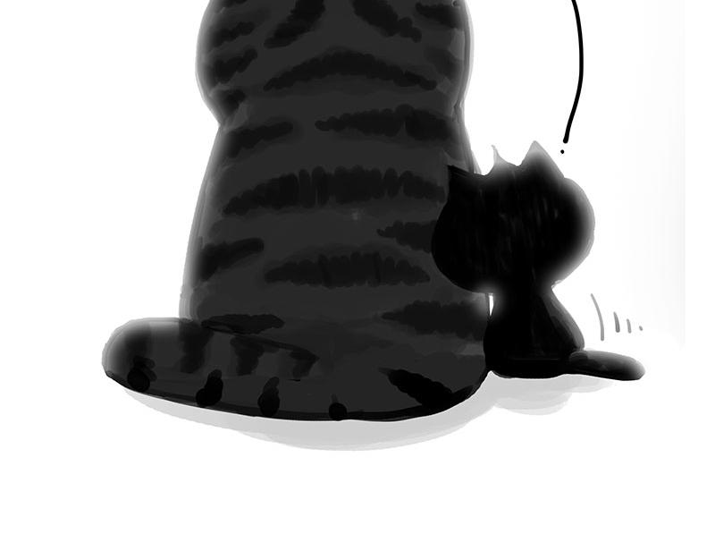 第349话 养只猫吧12