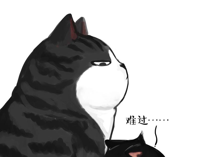 第349话 养只猫吧16