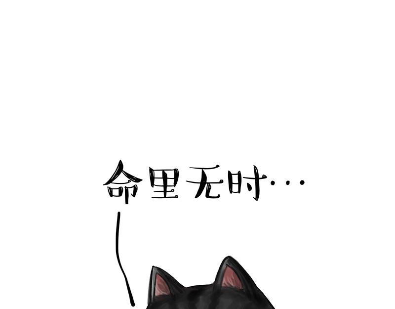 第349话 养只猫吧20