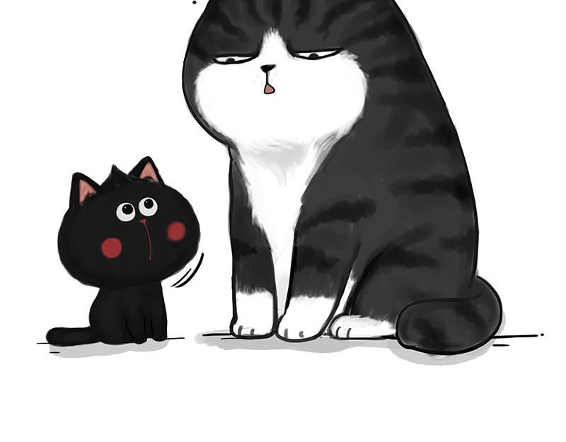 第349话 养只猫吧21