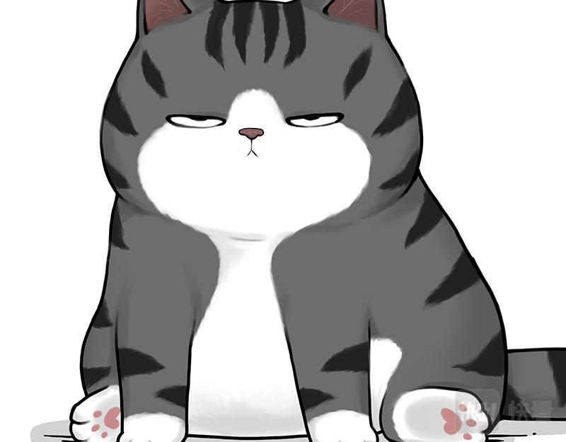 第349话 养只猫吧26