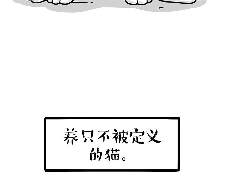 第349话 养只猫吧27