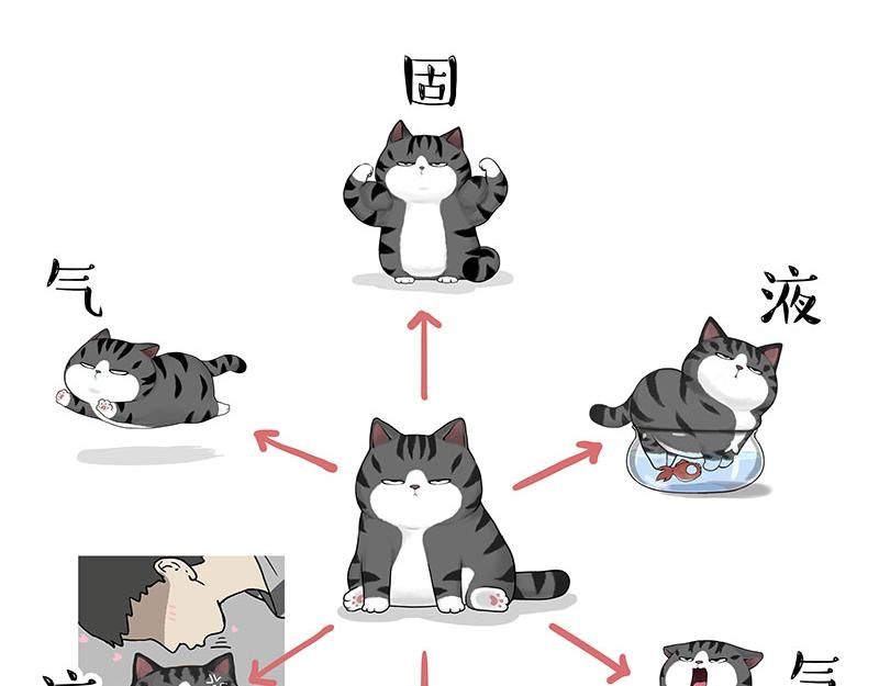 第349话 养只猫吧28
