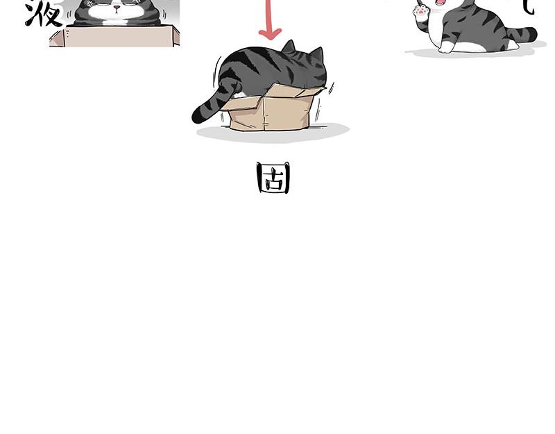 第349话 养只猫吧29