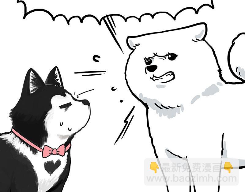 第349话 养只猫吧3