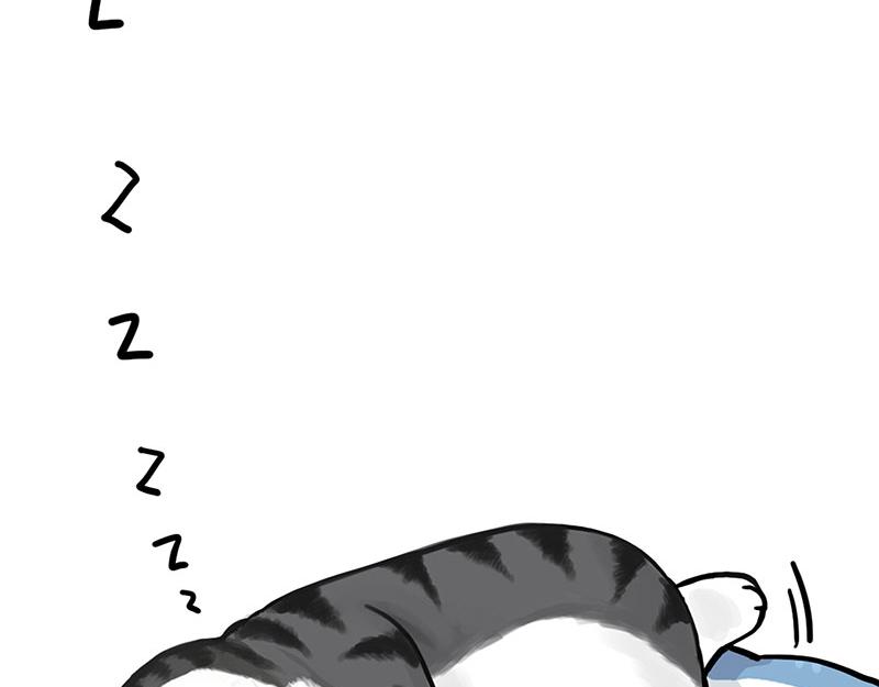 第349话 养只猫吧35