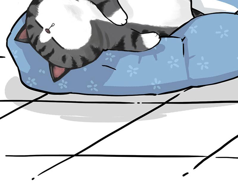 第349话 养只猫吧36