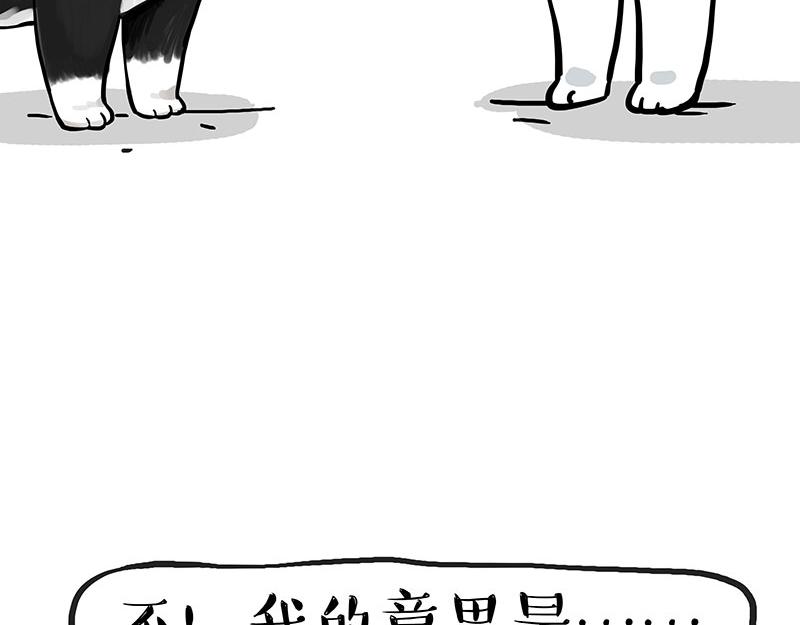 第349话 养只猫吧4