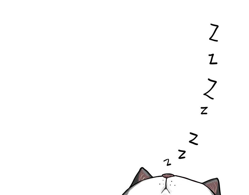 第349话 养只猫吧43