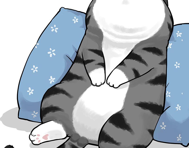 第349话 养只猫吧44