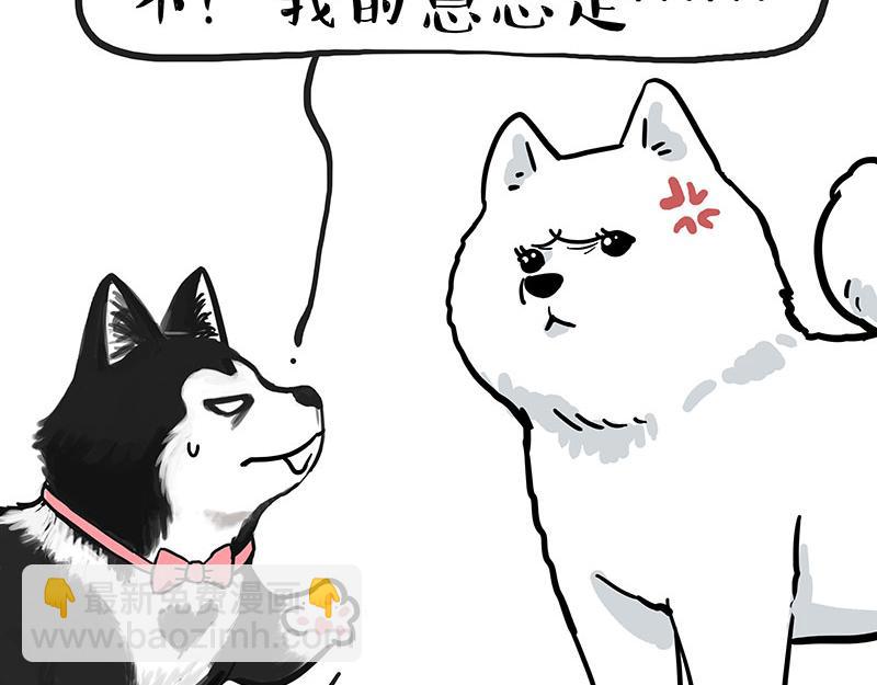 第349话 养只猫吧5