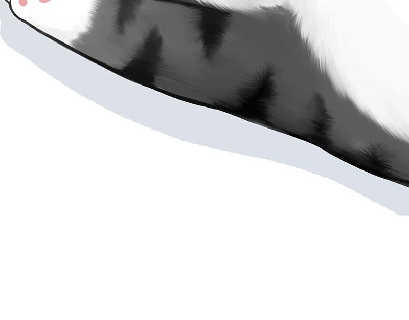 第349话 养只猫吧58