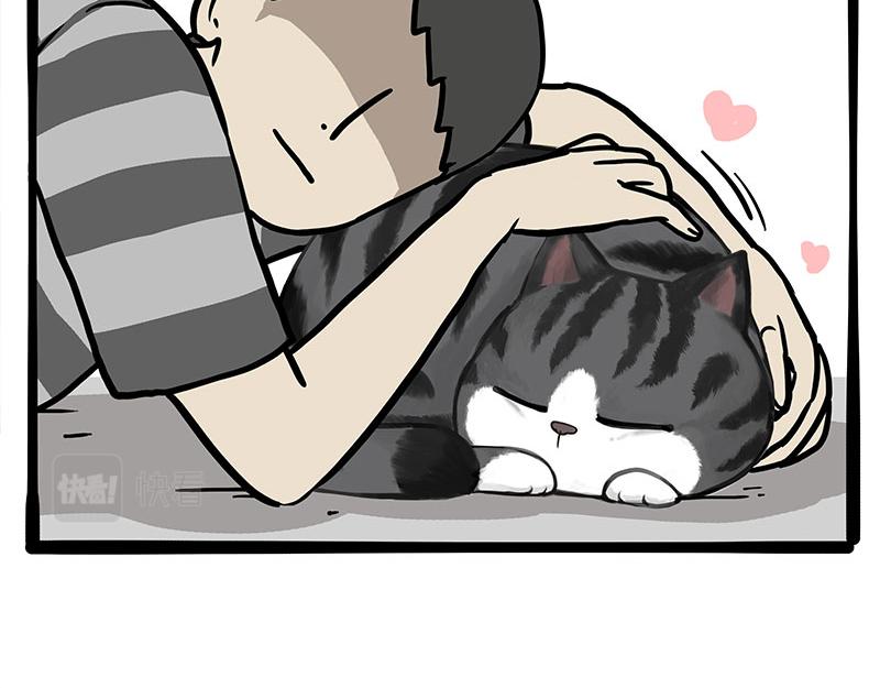 第349话 养只猫吧62