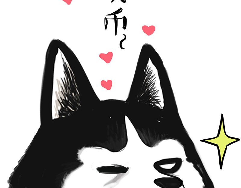 第349话 养只猫吧8