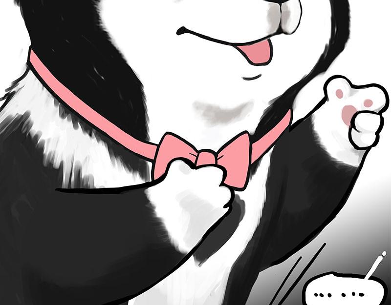 第349话 养只猫吧9