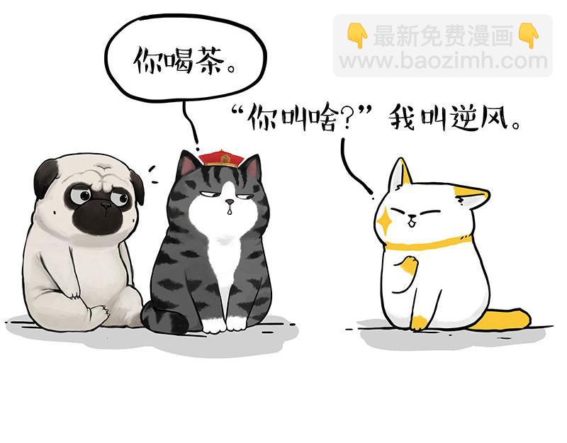 第353话 逆向思维18