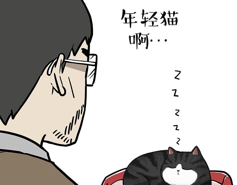 第354话 不做人了16