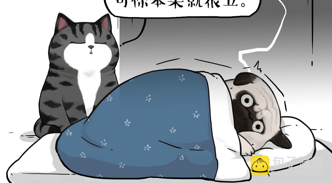 第355话 一起回家1