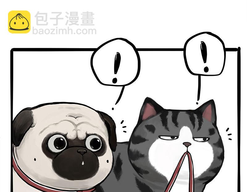 第355话 一起回家12