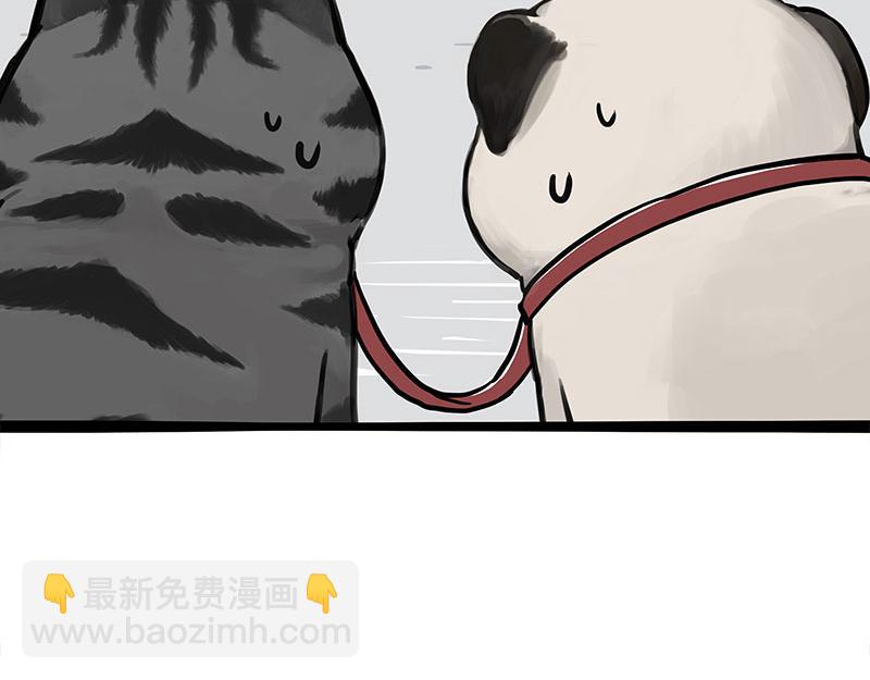 第355话 一起回家17