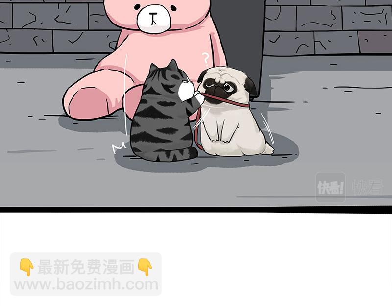 第355话 一起回家27