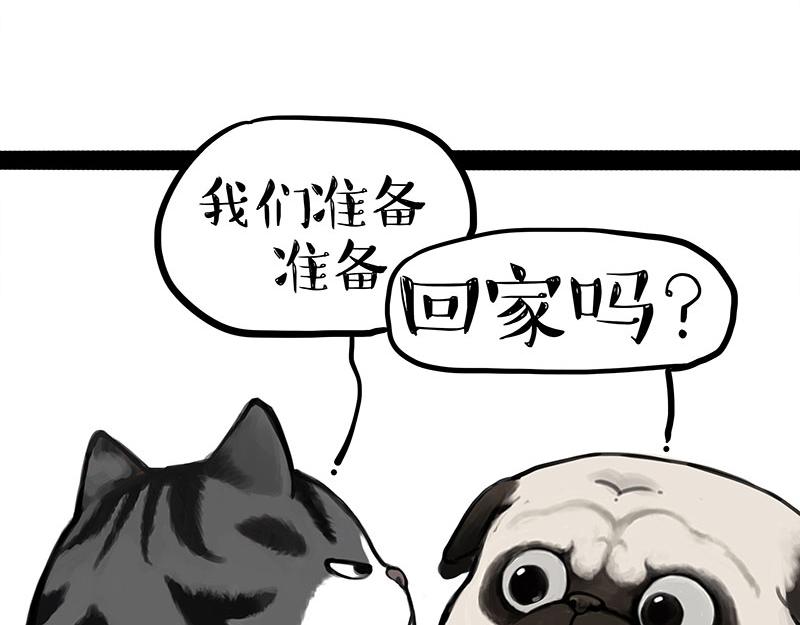 第355话 一起回家28