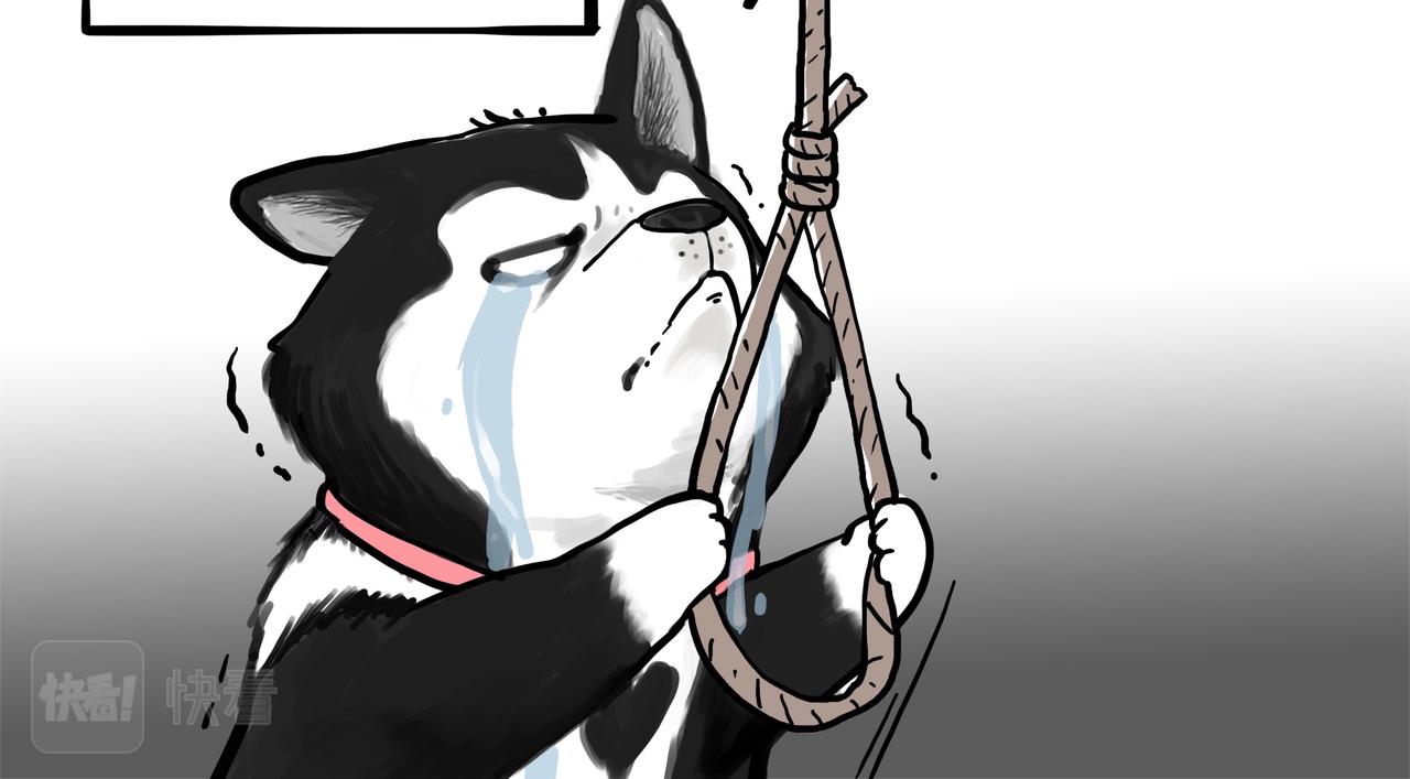第355话 一起回家9