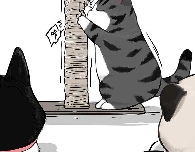 第356话 “吾没有错”11