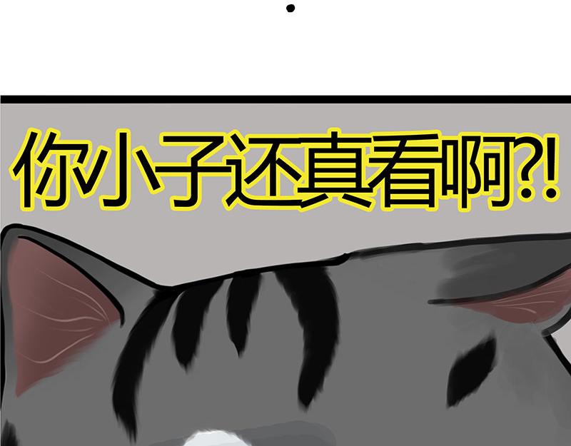 第356话 “吾没有错”33