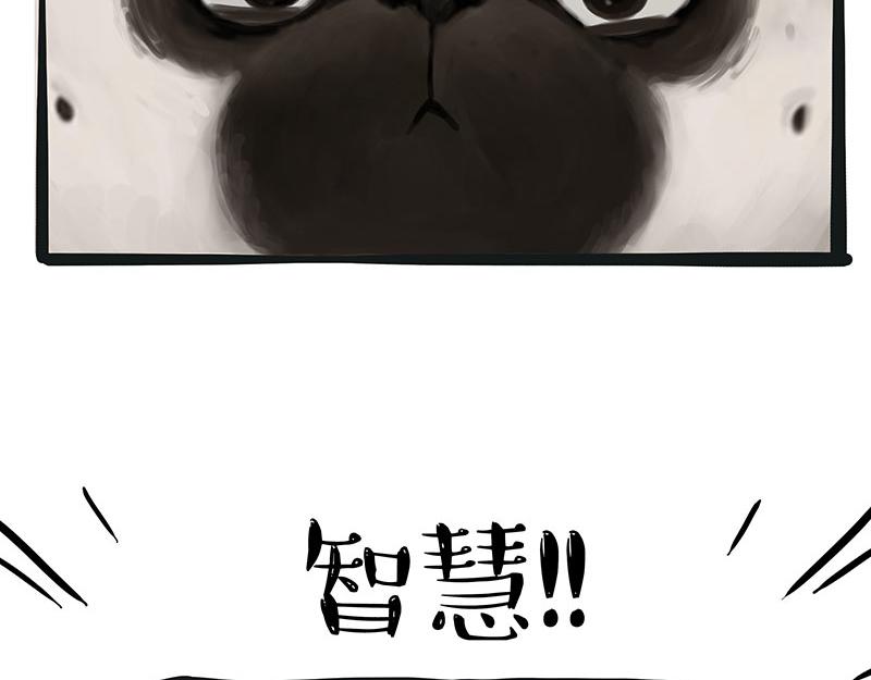 第357话 巴扎黑的智慧13
