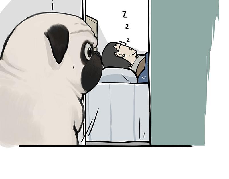 第357话 巴扎黑的智慧18