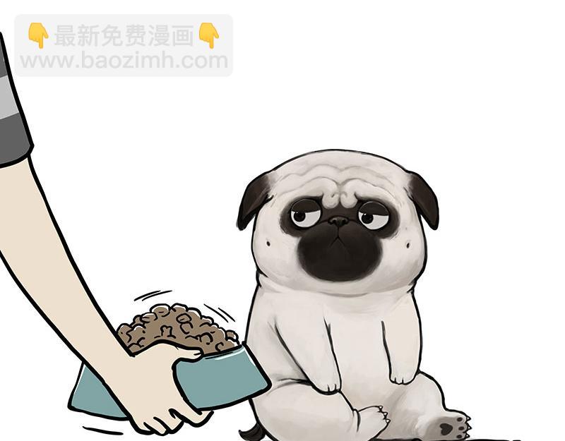第357话 巴扎黑的智慧2