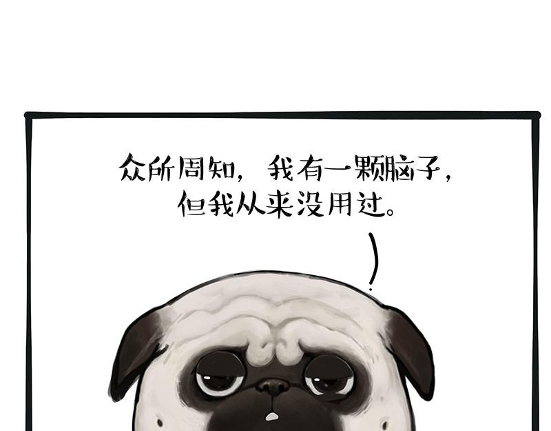 第357话 巴扎黑的智慧6