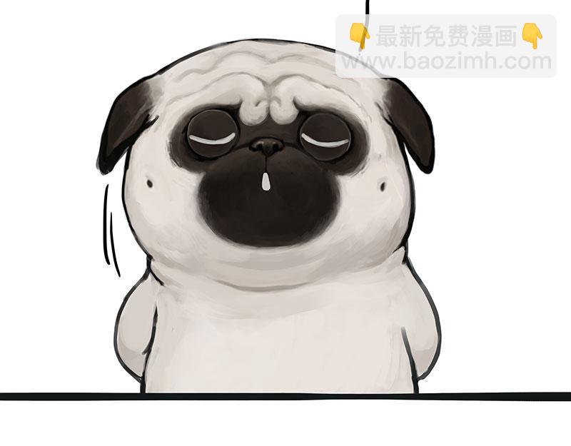 第357话 巴扎黑的智慧8