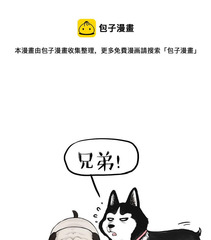 第358话 都是错觉0