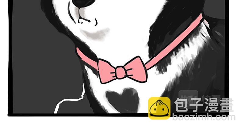 第358话 都是错觉14