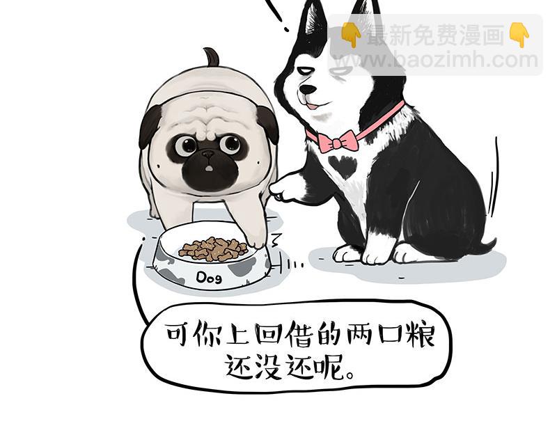 第358话 都是错觉2