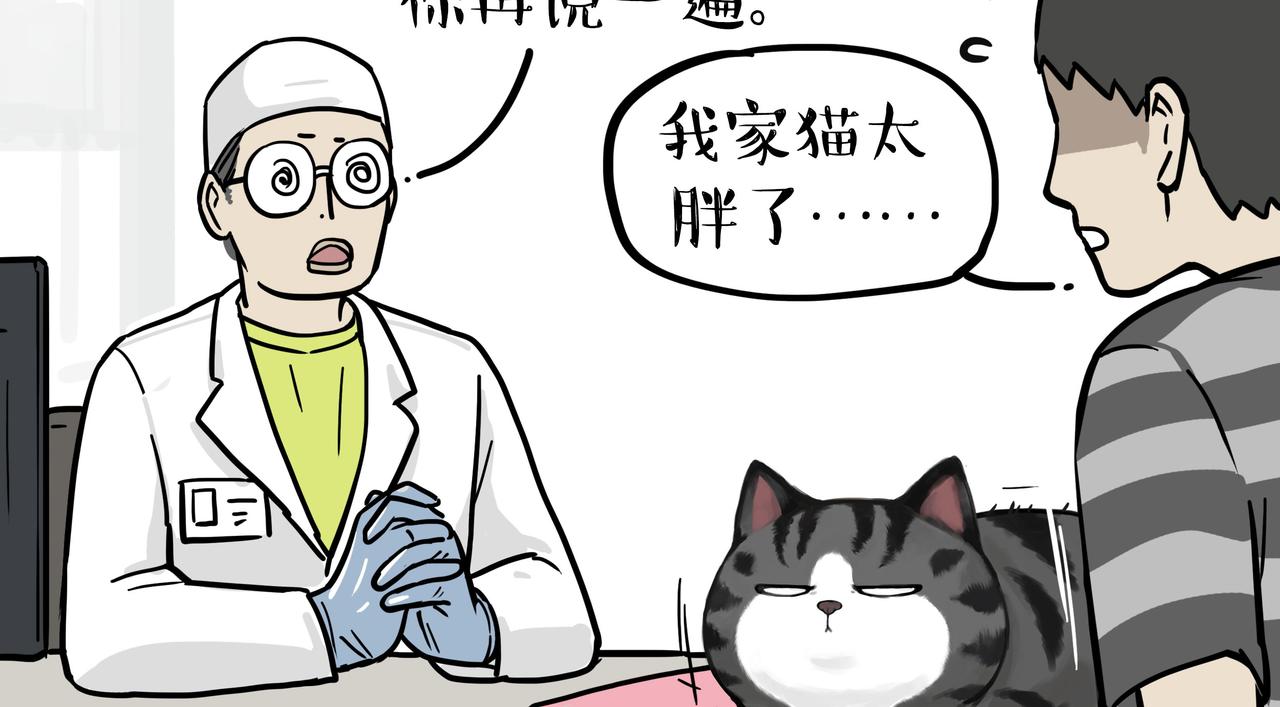 第358话 都是错觉29