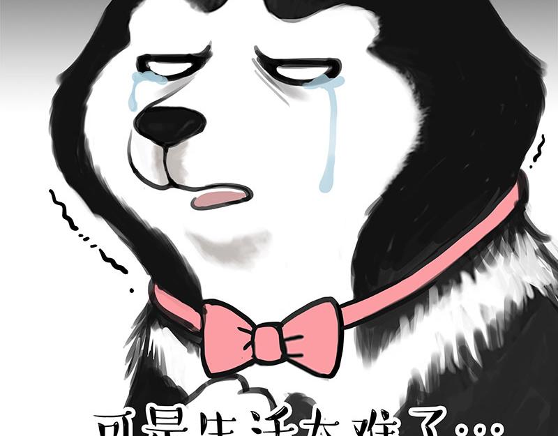 第358话 都是错觉4