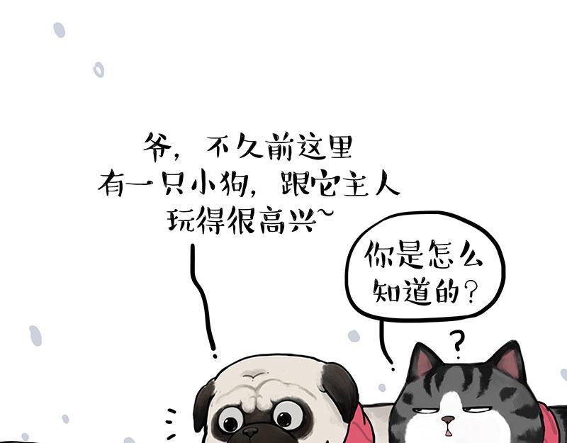 第362话 去找狗！18