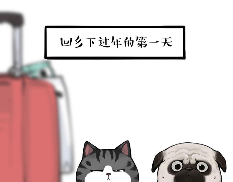第363话 年年有鱼28