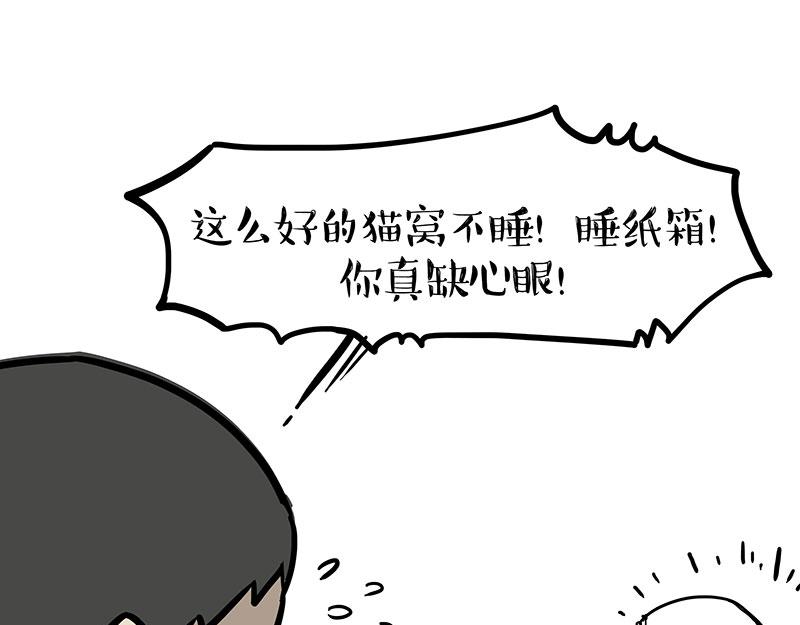第364话 万一呢？21