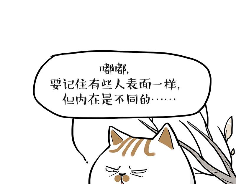 第364话 万一呢？29