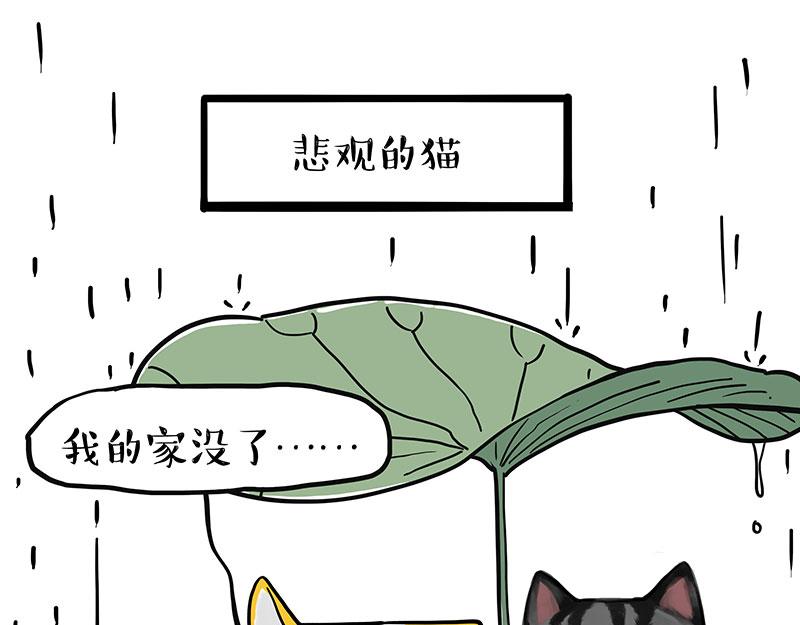 第364话 万一呢？35