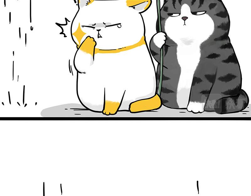 第364话 万一呢？36