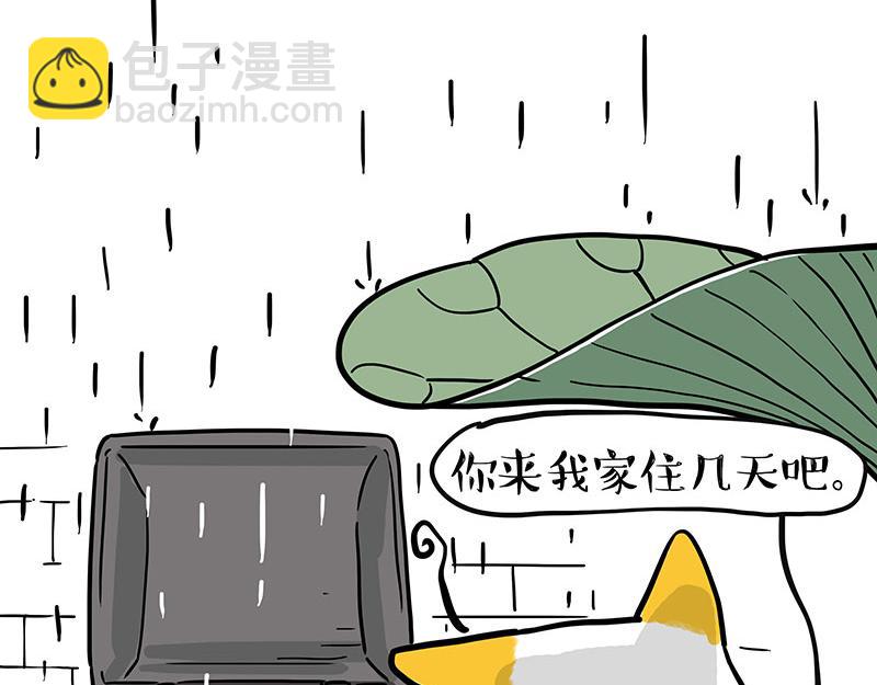 第364话 万一呢？37