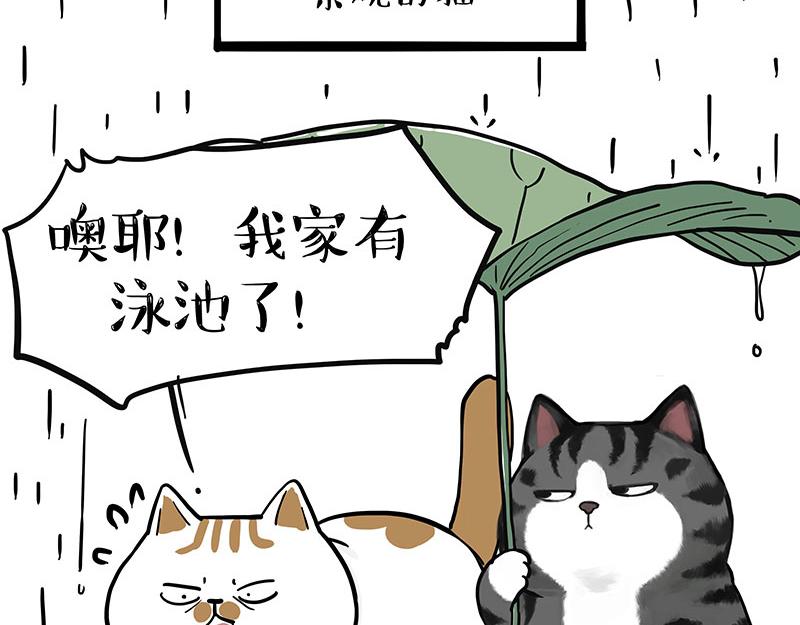 第364话 万一呢？39